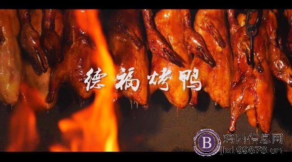 德福啤酒烤鸭招商加盟总部